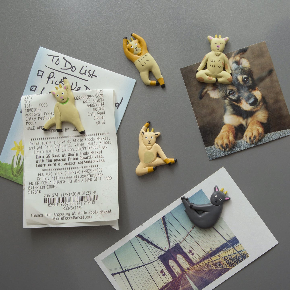Goat Yoga Magnets