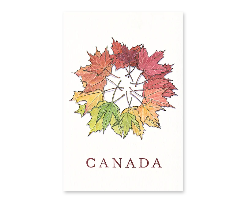 Maple Leaves Postcard