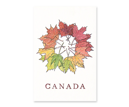 Maple Leaves Postcard