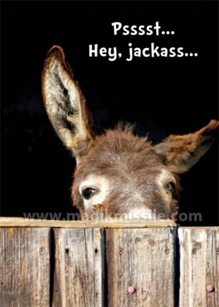 Hey, Jackass... Card