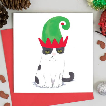 Cats in Christmas Hats 6 Assorted Christmas Cards