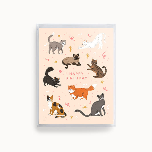 Cat Birthday Boxed Cards