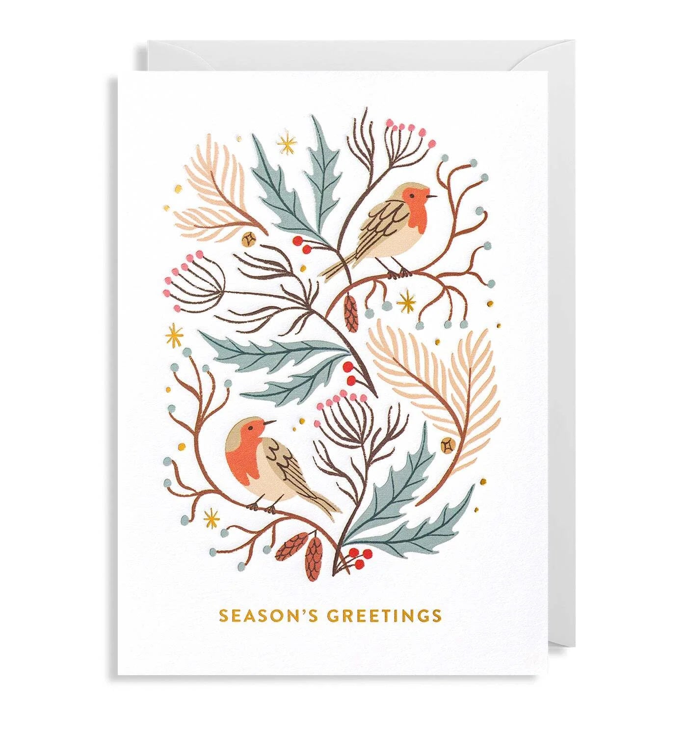 Robins Season's Greetings Card